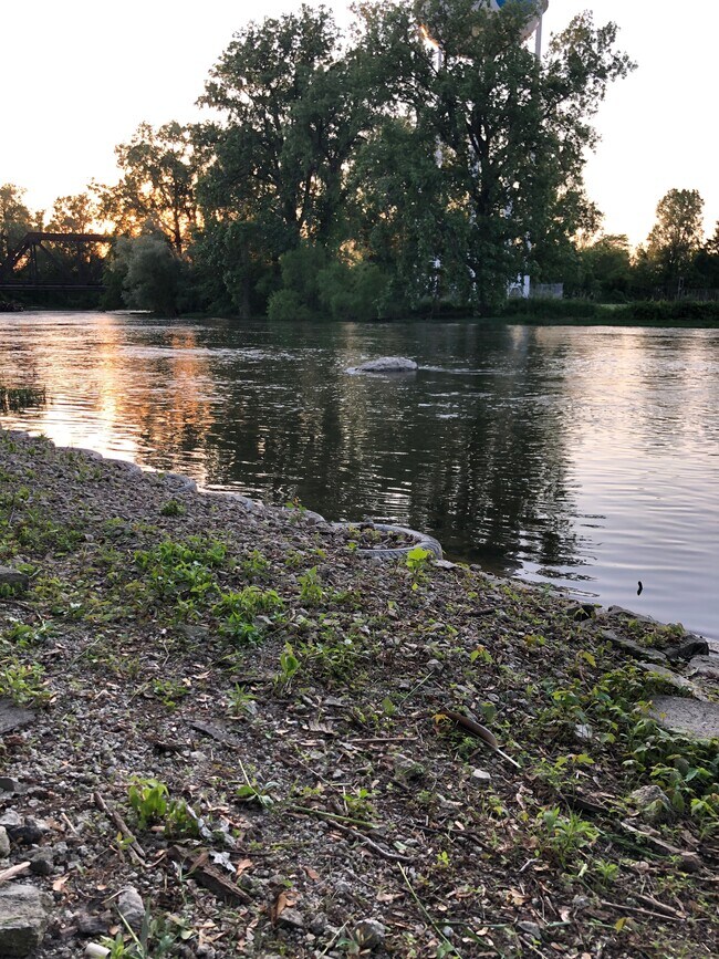 River Raisin - 914 W Front St