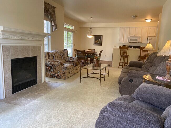 Chimenea de gas - 1075 Alameda Blvd