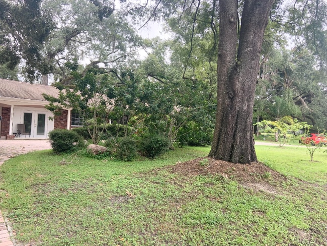 Building Photo - 12137 Riverhills Dr