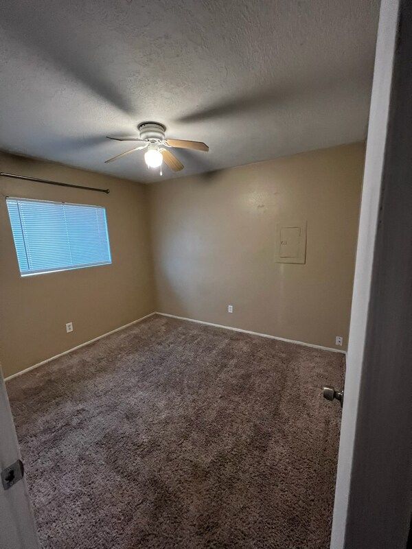 Foto del edificio - 337 Gorman Ave