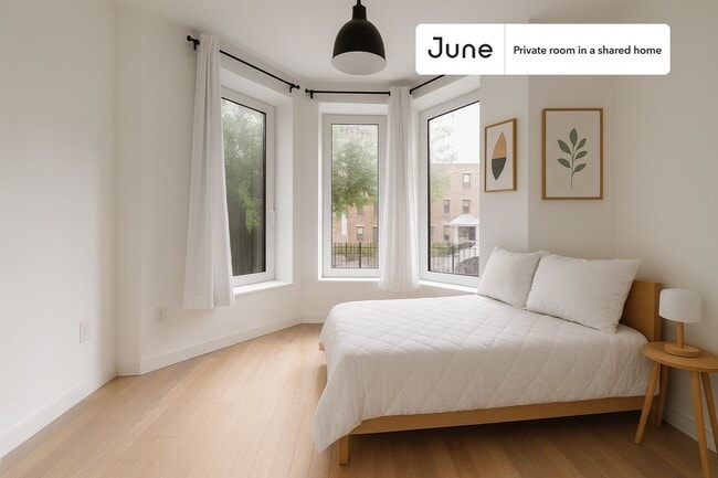 Room in Shared 4 bed/2 bath home - Room in Shared 4 bed/2 bath home