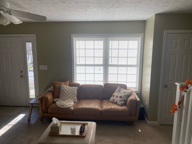 Living Room - 3859 E Lydia Ln