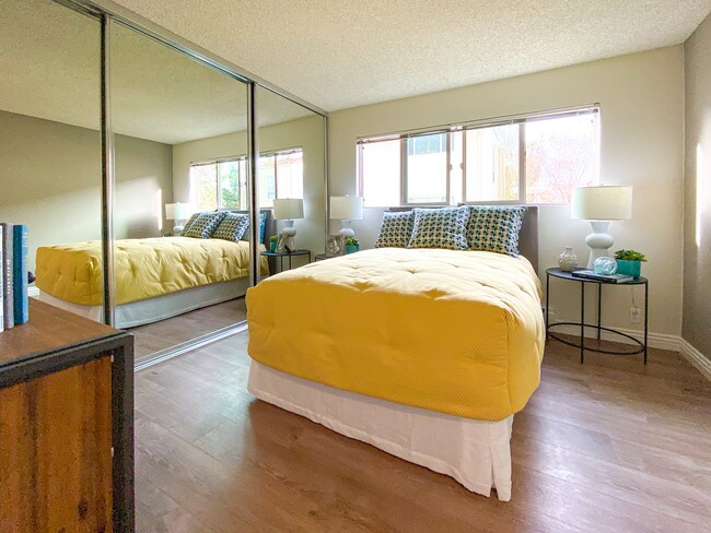 Habitación iluminada - Spring Creek Apartments