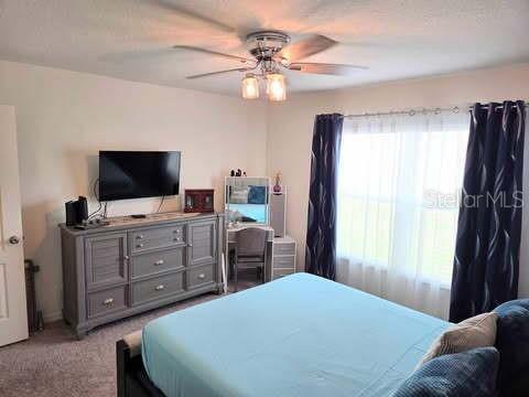 Foto del edificio - 1241 Denali Dr