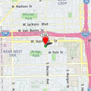 Primary Photo - 628 S Racine Ave, Chicago, IL, 60607 #1