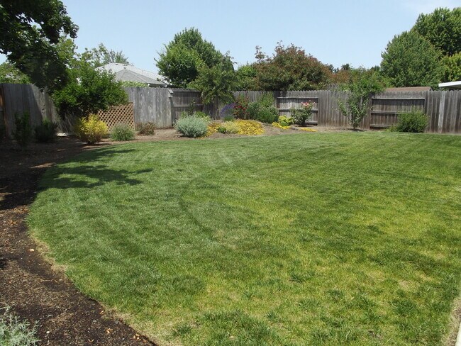 Foto del edificio - NIce Home