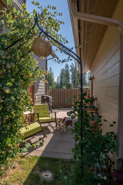 Building Photo - 123 Trestle View Ct