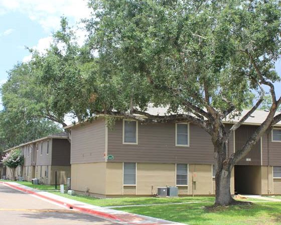 Building Photo - Treemont Apartments