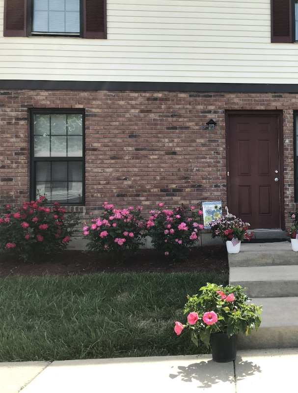 Building Photo - 720 Ohio Pike