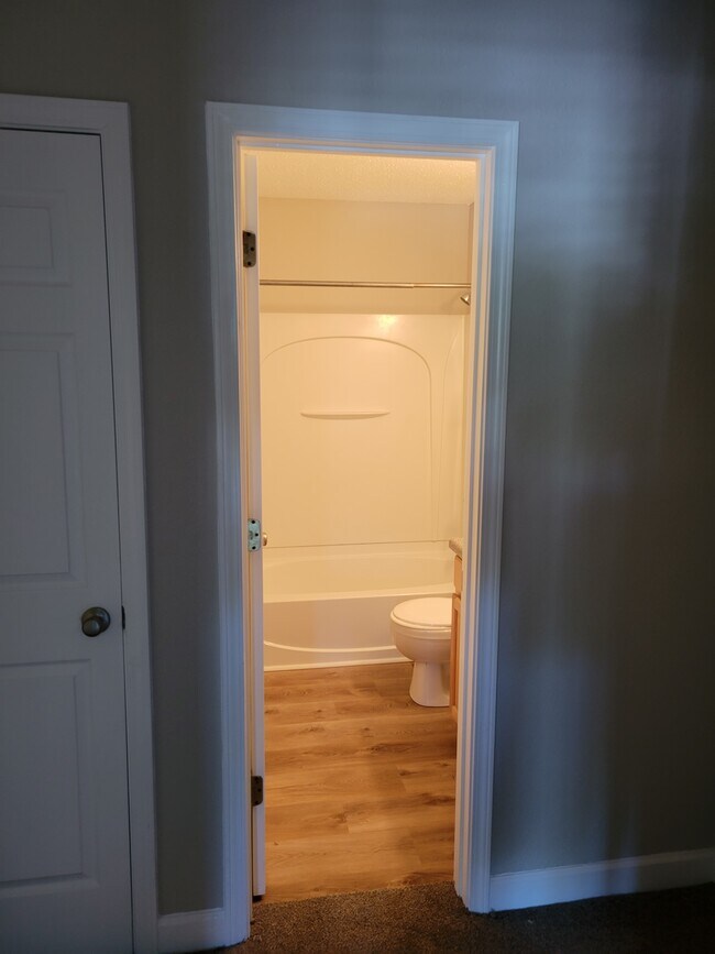 Down stairs bath - 220 Emerald Park Ct