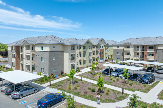 Building Photo - Arena Senior Apartments