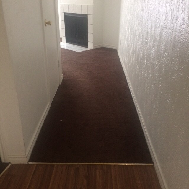 Foto del edificio - 303 Lake Meadows Dr