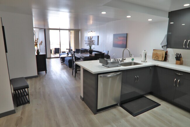 View from the entry - 4335 Marina City Dr