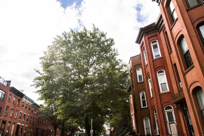 Plano de planta - 51  Eldert Street