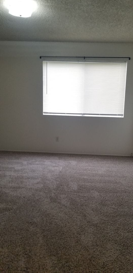 Foto del edificio - Ming Ave 1.