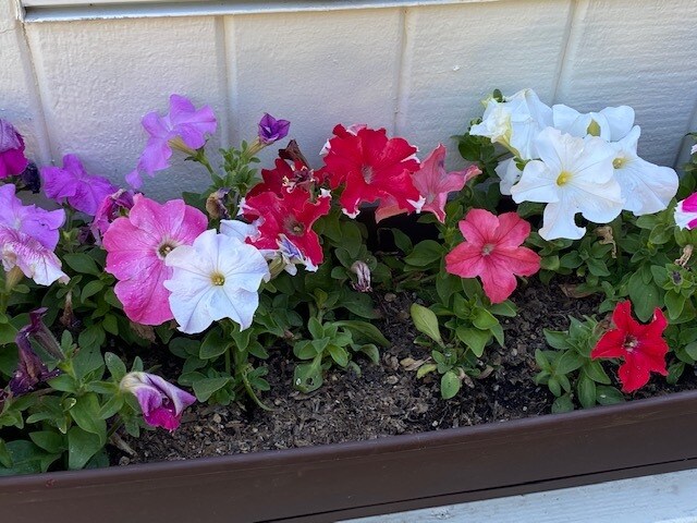 Flower Boxes by Window - 6175 Ramirez Canyon Rd