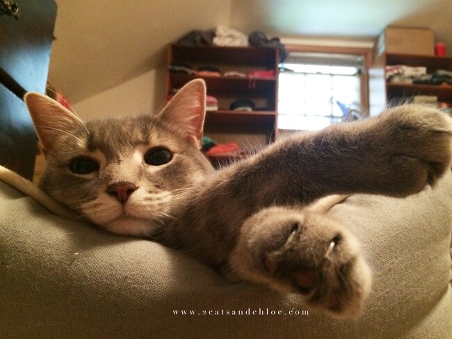 Foto del edificio - 2715 Ferndale Ave