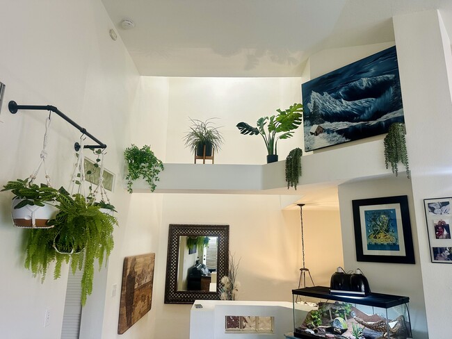 Foto del edificio - 25072 Leucadia St