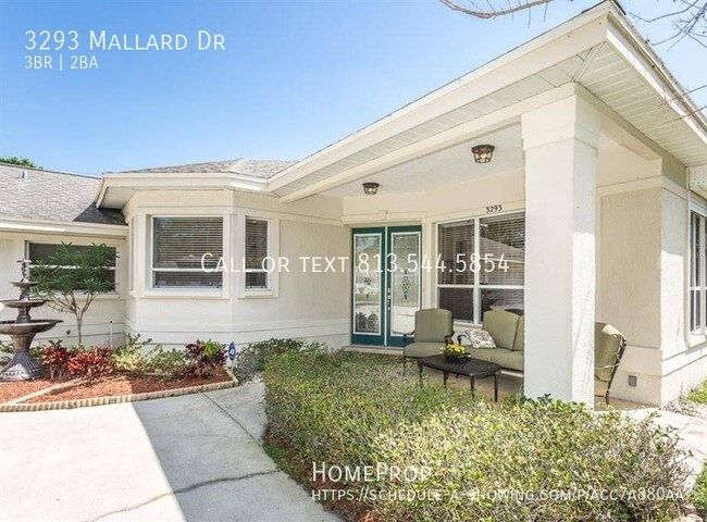 Building Photo - Beautiful Safety Harbor Pool Home