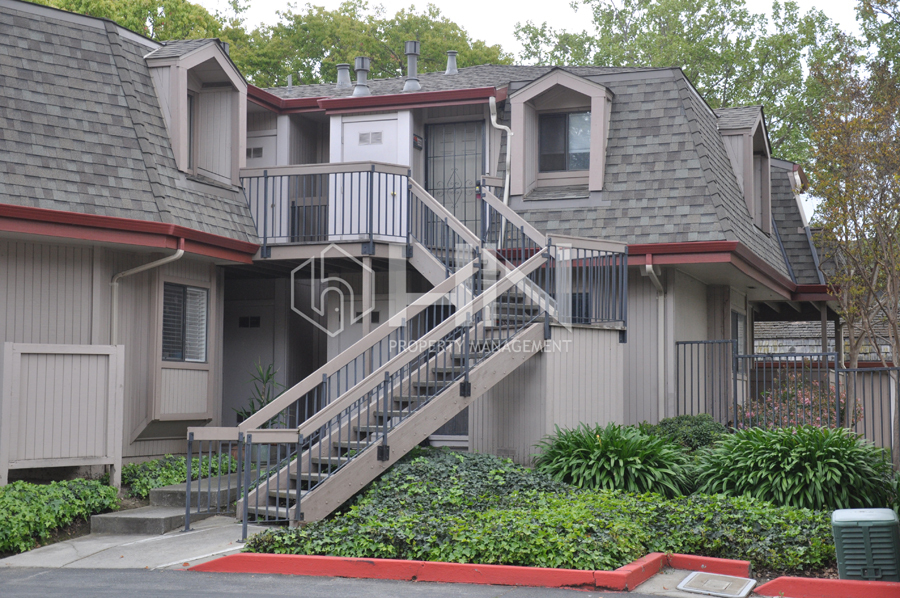 Primary Photo - 3053 Shadow Springs Pl