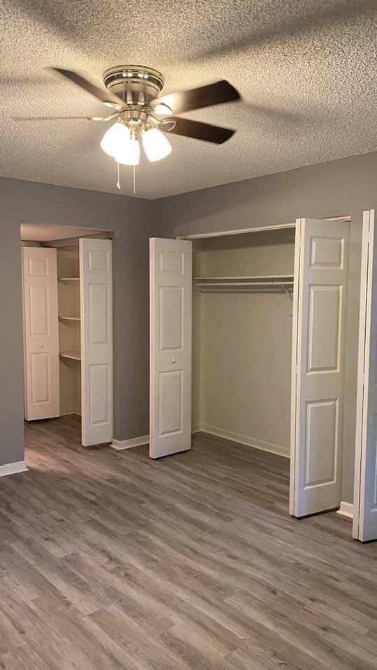 3709 Greenery Ct Unit 209, Tampa, FL 33618 Condo for Rent in Tampa