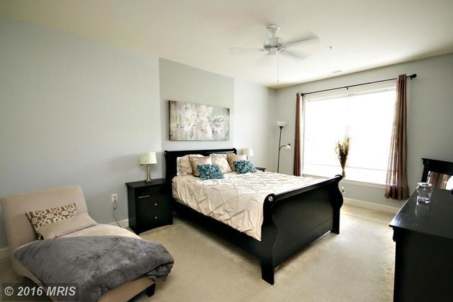 Building Photo - 12800 Libertys Delight Dr