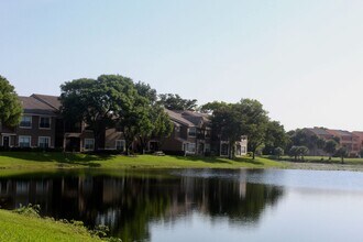 Interior Photo - Coral Falls