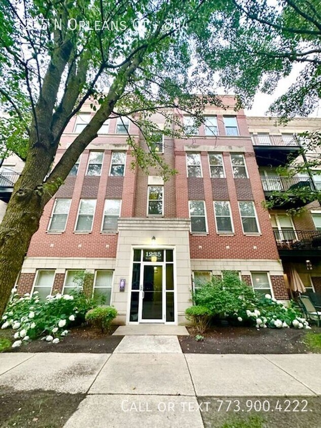 Primary Photo - 1235 N Orleans Ct