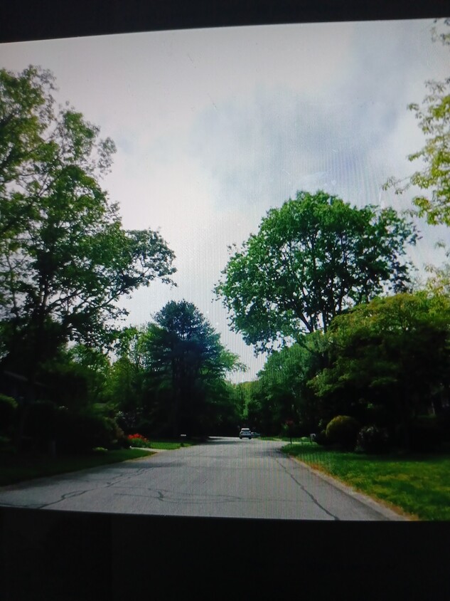 Quiet and private - 44 Mulberry Dr