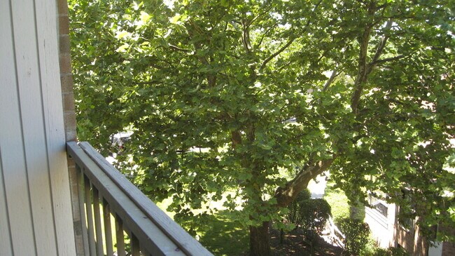 Foto del edificio - 181 Long Hill Rd