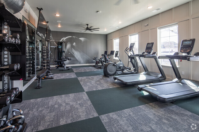 Gimnasio - VLux Madison