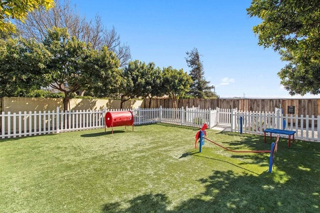 Building Photo - Pointe at Westlake