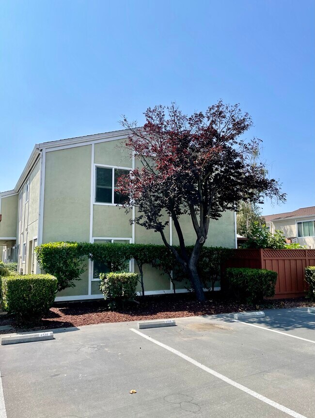 Foto del edificio - 4532 Capewood Terrace