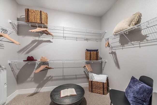 Building Photo - Cala Apartments