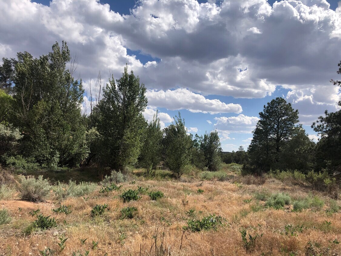 Foto principal - 39 Burro Bend Rd