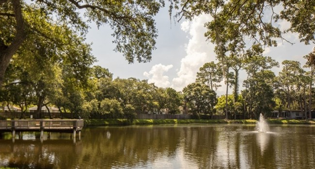 Foto del edificio - Shady Lane Oaks