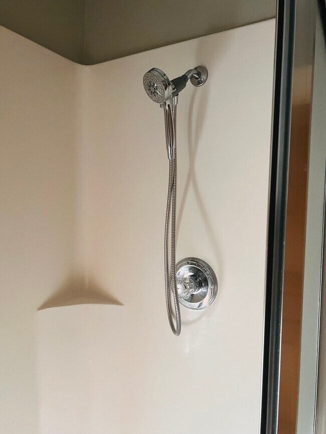 Magnetic Shower Head - 255 Charles Ave SE