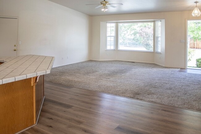 Building Photo - 3 Bed, 2 Bath, Huge Fenced Back Yard, 2-Car Garage in Wingfield Springs