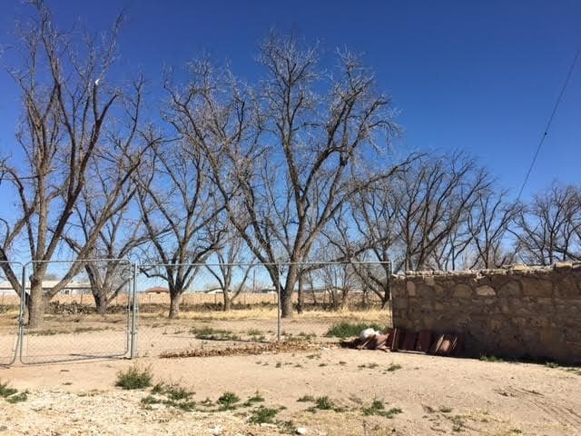 Building Photo - 8749 Clavel Dr