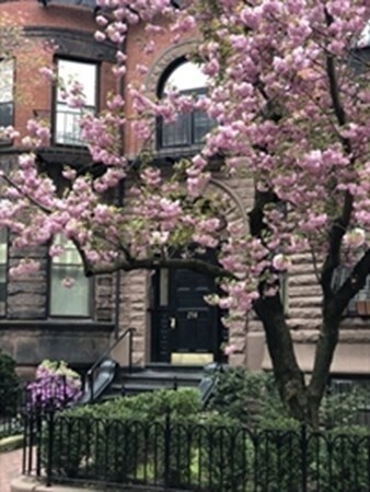 Foto principal - 258 Marlborough St