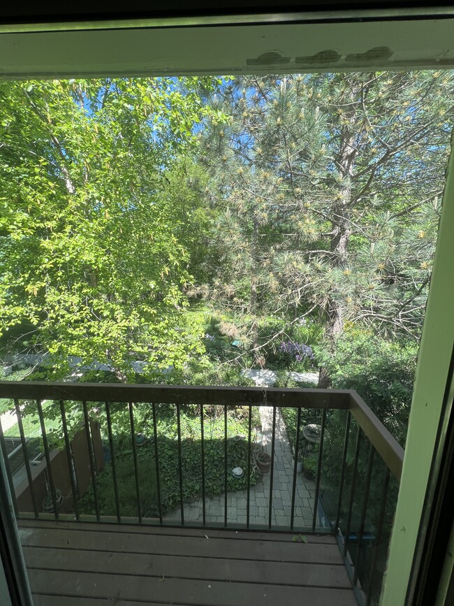 Beautiful private area with Forest views - 665 Carriage Hill Dr