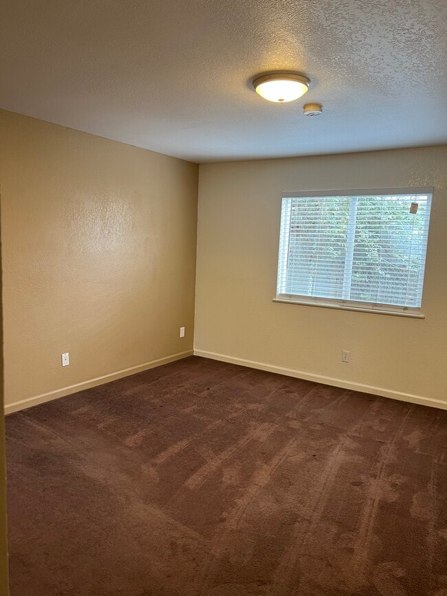 Building Photo - 58 Marys Ave