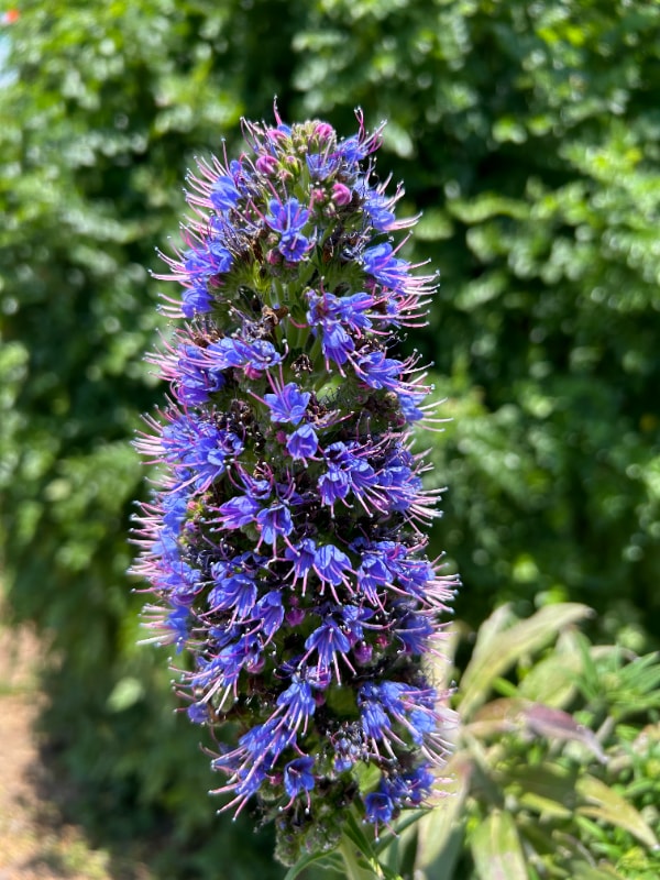 Building Photo - 25147 Jack Rabbit Acres