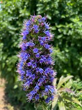 Building Photo - 25147 Jack Rabbit Acres