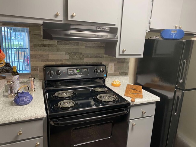 Cocina - Apollo Palms