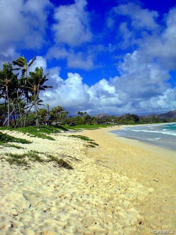 Primary Photo - 158 A Makawao St