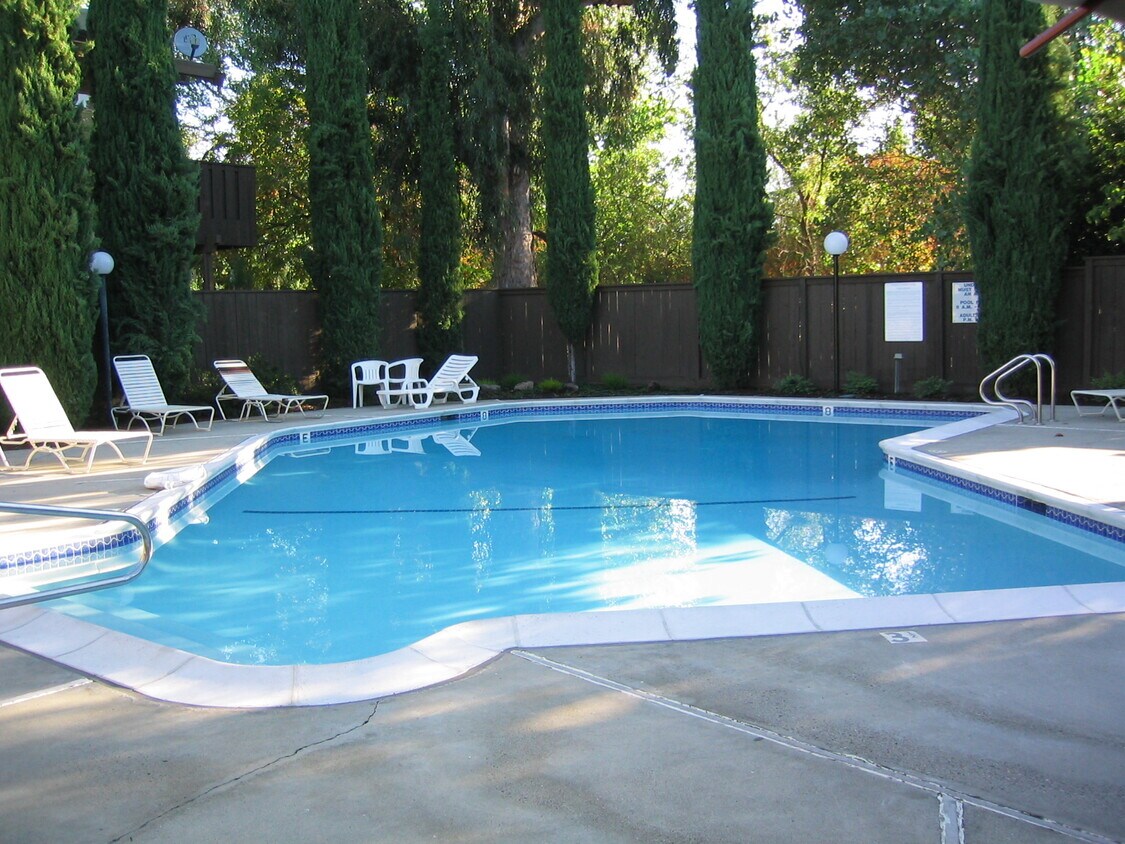 Pool w/clubhouse - 43 Massolo Dr