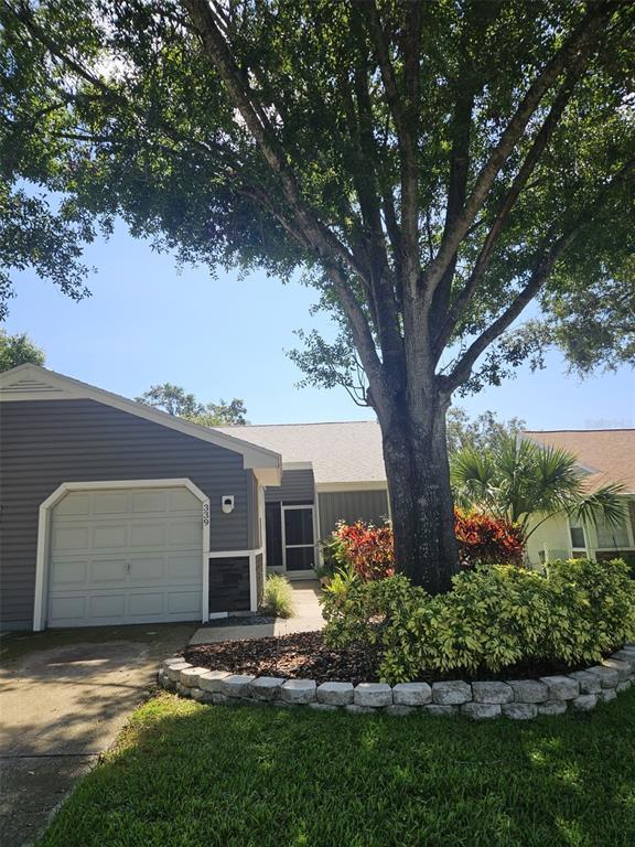 Building Photo - 339 Petrea Dr