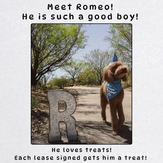 Building Photo - 10817 N 46th Ave