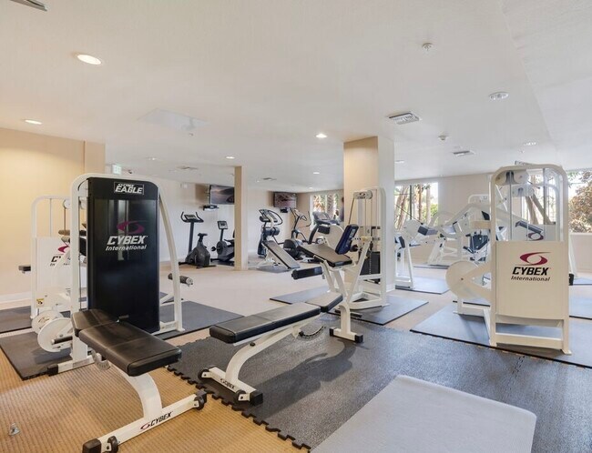 Building Gym - 13200 Pacific Promenade